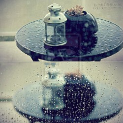 YÊU QUÊN CƯỚI, CƯỚI RỒI QUÊN YÊU