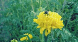 ĐỜI THIẾU GÌ NHỮNG LẦN CHỜ ĐỢI