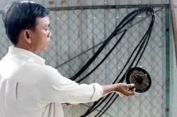 NGƯỜI THẦM LẶNG NHẶT ĐINH TRÊN QUỐC LỘ