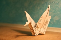 KHÁT VỌNG CỦA CHÍNH MÌNH