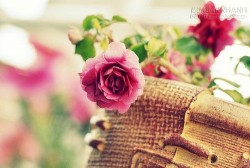 5 CÁCH ĐỂ GIỮ THÁI ĐỘ SỐNG LUÔN TÍCH CỰC