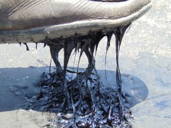 Hà Tĩnh Nắng nóng chết người khiến mặt đường bị chảy nhựa