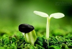 6 thủ thuật rèn luyện ý chí và tinh thần cầu tiến