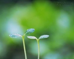 24 ĐIỀU BẠN CẦN GHI NHỚ TRONG CUỘC SỐNG