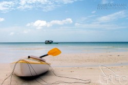 LÝ TƯỞNG SỐNG