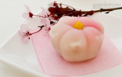 Độc đáo các món ăn từ hoa anh đào của Nhật Bản