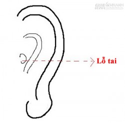 Nhan sắc của người khoan dung