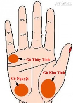 Bàn tay nói lên nhân duyên đào hoa của con gái