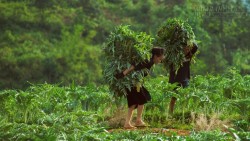 8 lý do khiến du lịch Sapa là nơi tránh nóng lý tưởng nhất trong mùa hè này