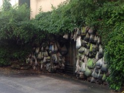 Chết khiếp với người đàn ông sưu tầm phân và nước tiểu chó treo đầy cổng