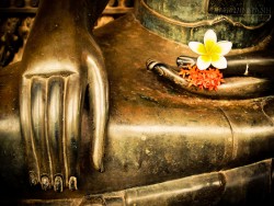 10 ĐIỀU TÂM NIỆM
