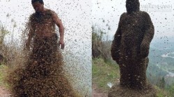 Những hình ảnh thốn đến tận rốn thách thức sự can đảm của bạn