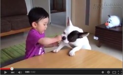 Bị cướp giữa ban ngày, ngay trong nhà