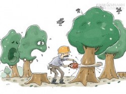7 lý do để ủng hộ việc chặt cây ở Hà Nội