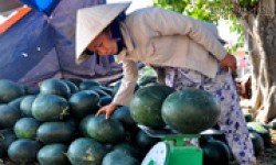 Ngành du lịch kêu gọi tiêu thụ nông sản Việt