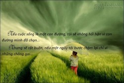 Hãy tự quẳng mình vào cuộc đời nhiều giông bão