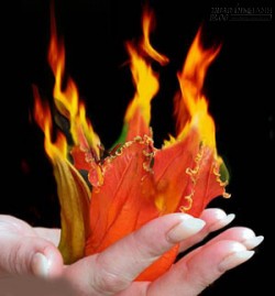 Vì lòng người là giấy