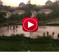 Clip 5 nam sinh ra ruộng chờ sét đánh trong mưa dông ở Hà Nội