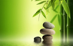 Hãy sống với giây phút hiện tại