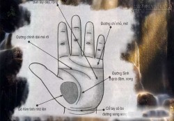 Bàn tay của người có sức khỏe
