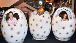 10 bảo tàng khủng long lớn nhất thế giới