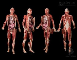 Những thiết kế lỗi không thể sửa trên cơ thể người