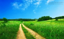 Con đường đi tìm hạnh phúc của người giàu