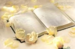 Bài học quý giá cho cuộc sống