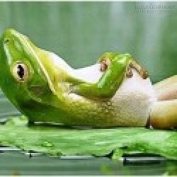 Lời Khuyên Để Có Được Sự Thanh Tịnh Trong Tâm Hồn