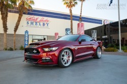 Shelby ra mắt phiên bản Mustang Super Snake 750 mã lực