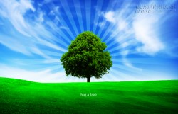 Khám phá bản thân qua hình vẽ cái cây