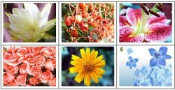 Cách chọn hoa hé lộ tình yêu của bạn