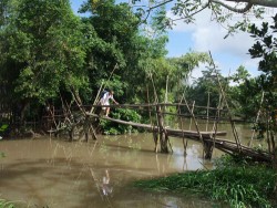 Cầu khỉ Việt Nam thuộc loại nguy hiểm nhất thế giới