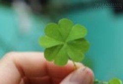 Hé lộ 5 Chòm sao may mắn nhất tuần mới