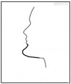 Xem đời người phụ nữ qua tướng cằm