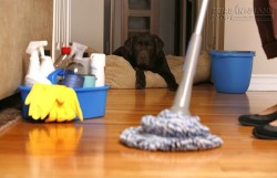 8 mẹo vặt giúp bạn luôn nhàn hạ khi dọn nhà