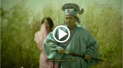 Vườn hồng thành phố