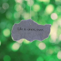 Đoán vận mệnh cho 12 con giáp qua năm sinh