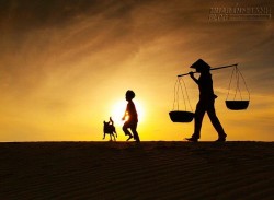 Mẹ bảo con trai