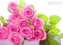 Tử vi 12 Cung hoàng đạo ngày 28/06/2015