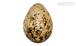 Trứng hiếm hơn 100 tuổi để quên trong ngăn kéo