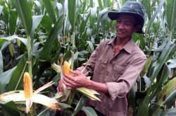 550 tỷ nghiên cứu CNSH Vẫn quá ít