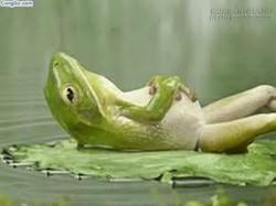 10 Lời động viên khi bạn gặp khó khăn trong cuộc sống