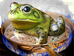 Câu chuyện về chú ếch trong nồi nước
