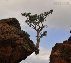 Rèn luyện tinh thần thép