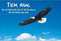 Sống với ước mơ lớn