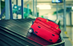 Làm gì khi không tìm thấy hành lý tại sân bay
