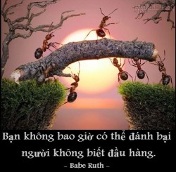 Làm sao để không bỏ cuộc