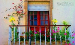 Bí quyết phong thủy đơn giản để sống khỏe và vui