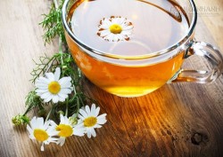 4 loại trà giúp bạn ngừa căng thẳng, loại bỏ lo lắng